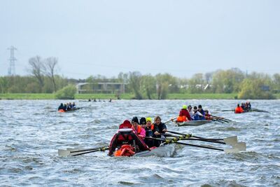 rc-coastal-pampus